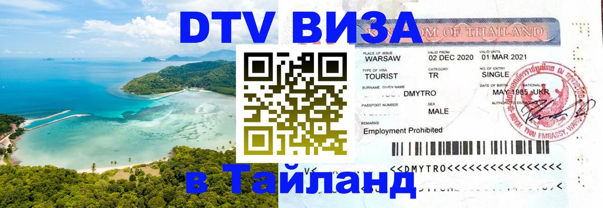 Сколько стоит DTV виза — актуальные цены, оформление даже без документов - 18.11.2025 